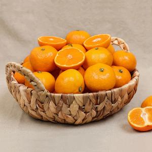 제주 노지 감귤 4.5kg 크기별 선택