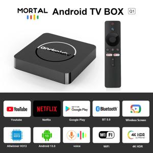 Android13 TV 박스 4K Allwinner H313 BT5.0 구글 재생 Youtube tiktok HDR10 2G16G 듀얼 2.4/5GB Wifi 스트리밍 셋톱박스 Q1