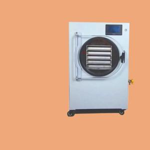 가정용 진공 동결 건조기 8KG - -45 ° C 냉동, 과일/고기용 무오일 펌프, 간편한 조작