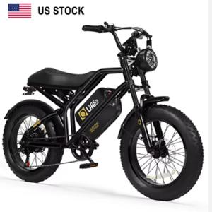 Qlife Spark 미국 주식 긴 주행거리 2개 배터리 팻 타이어 전기 산악 자전거