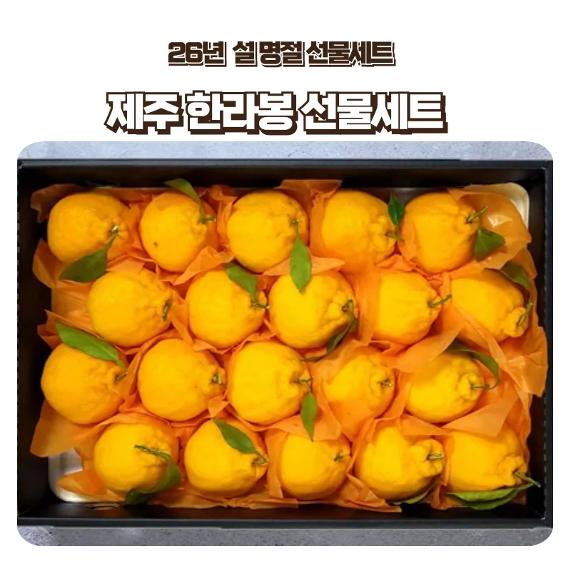 [푸디앤] 제주 한라봉 설날 선물세트 1.5kg-4.5kg(대중소과 선택가능)