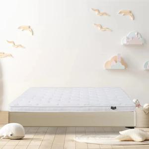 대두 단백질 얇은 매트리스 탈부착 가능 롤형 통기성 친환경 가정 호텔 가구 어린이 유아 공원 방수