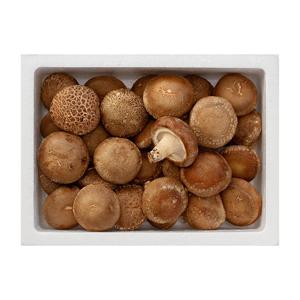 늘바른 국내산 친환경 무농약 표고버섯 2kg