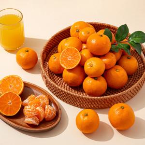 [더조은] 제주직송 서귀포 타이벡 감귤 (혼합과) 5kg
