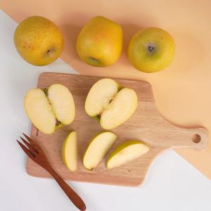 [더조은] 황금사과 시나노골드 가정용 5kg 19-21과