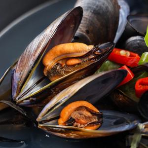 국내산 통영 제철 홍합 2kg