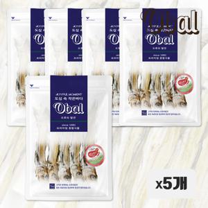 오발 대구 줄노가리10마리 잘 마른 노가리 * 5개 / 마른안주