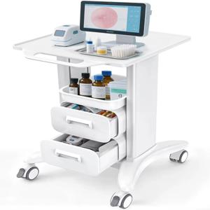 의료용 트롤리 카트 이동식 초음파 카트 트레이&4개의 바퀴 포함 병원 치과 클리닉 미용실용 휴대용 보관 서랍