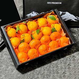 [오늘담은] 한라봉/천혜향/레드향 혼합 선물세트 20종 택1