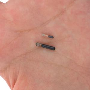 134.2KHZ 마이크로칩 동물 RFID 태그 (어류, 개, 고양이 식별용)