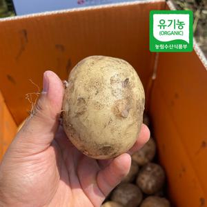 [1+1]♡유기농 인증♡제주 모슬포 유기농 햇 겨울 감자 특(개당100g~120g)