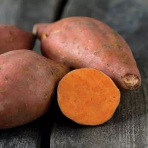 산지직송 해남 호박 고구마(호풍미) 비세척 달달한 자연의 맛