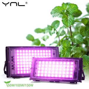 LED 성장 빛 50W 100W 150W AC 220V 식물 램프 전체 스펙트럼 LED 투광 조명 실내 식물 수경 온실 성장 조명