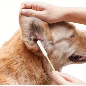 50/100/900개 대나무 손잡이가 있는 애완동물 귀/눈 면봉, 길이 6인치, 개와 고양이를 위한 부드러운 청소 솔루션