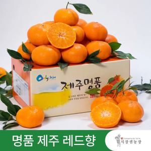 [지장샘농장] 당도보장 제주 레드향 1.5kg 2.5kg 4.5kg