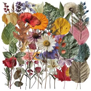 50개 귀여운 식물 스티커, 식물 표본 데칼, 휴대폰, 노트북, 여행 가방, 스케이트보드용 방수 스티커