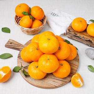 [한정특가] 제주도 천혜의 고당도 감귤 제주천혜향 1kg