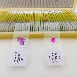 50개 세트 학교 용품 현미경 혼합 조직학 교육 학생을 위한 준비된 슬라이드