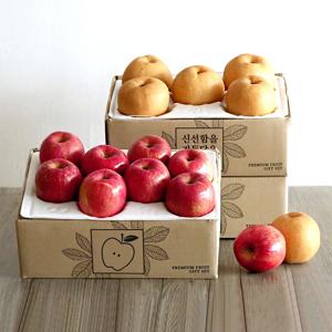 사과/배 실속 2종세트 2호 [사과 2kg/10~11과 + 배 2.5kg/4~6과]