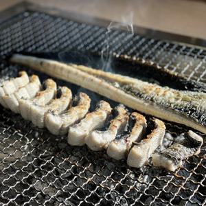 고창직송! 국내산 토종 풍천장어 자포니카 1kg