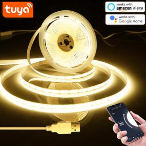 5V USB Tuya 스마트 라이프 WiFi COB LED 스트립, 1M 2M 3M 5M 흰색/따뜻한 흰색 디밍이 가능한 COB LED 스트립 조명 Alexa Google 홈으로 작동