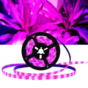 USB 방수 LED 성장 빛 전체 스펙트럼 DC5V 5m 식물 빛 야채 꽃 모종 성장 텐트 상자에 대 한 LED Phyto 램프를 성장