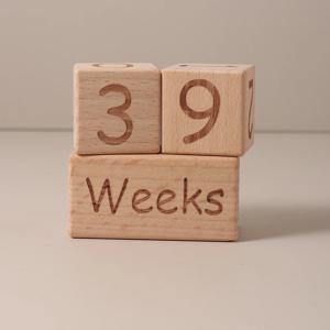 3pcs 블록 세트 성장 달 이정표 사진 소품 안녕하세요 세계 가방 출생 발표 기호 여행과 나무 아기 년 일