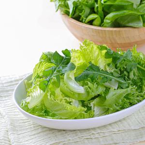 친환경 프레시 유러피안 모둠 루꼴라 샐러드 800g