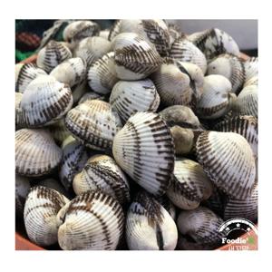 [푸디앤] 국내산 제철 새꼬막 1kg  원조 밥도둑!