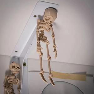 1개 자석으로 조작 가능한 해골 냉장고 자석 재미있는 할로윈 선물 부활절 주방 및 식당 장식 홈 액세서리, 독특한 장식