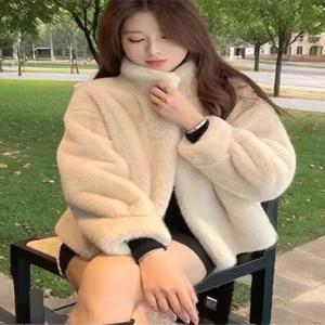 젊은 여성용 짧은 스탠드 칼라 밍크 퍼 재킷 겨울 따뜻한 두꺼운 아우터 홍콩 스타일 스트레이트 튜브 시뮬레이션 울