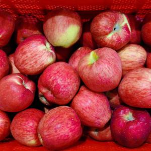 [더조은] 품질보장 맛좋은 꿀사과 (대과) 4kg 9-17과