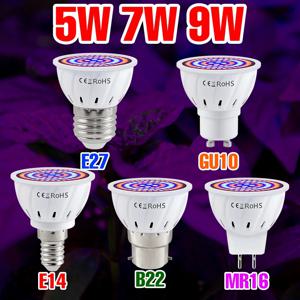 9W E27/E26 LED 식물 성장등 GU10 풀 스펙트럼 식물 램프 E14 실내 화분 과일 재배 박스 재배 전구 MR16 AC220V 5W 7W