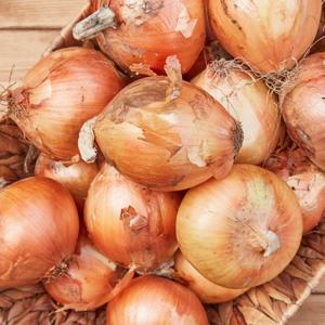 건강한 국내산 제철 양파 밀양 햇양파 1kg 3kg 5kg 10kg