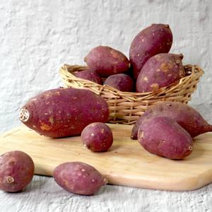 [더조은] 호풍미호박고구마 3kg 중 (50-100g)