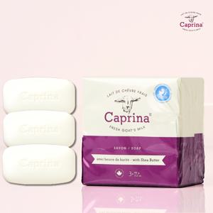 캐나다 프레쉬 산양비누 90g x 3개입 시어버터