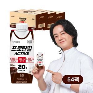 프로틴밀 액티브 초코 250ml x 54팩