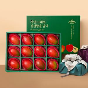 [보자기동봉] 시그니처 애플망고 (12수) 과일 선물세트