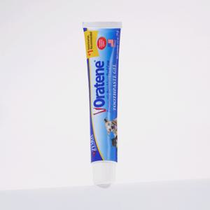 오라틴 투스페이스트 겔 70g 강아지 고양이 구강 관리 치약