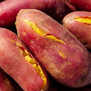 무안 달수 꿀고구마 중대혼합