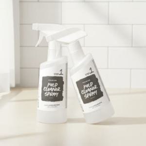 곰팡이제거제 500ml 1+1 패키지 (총2개)