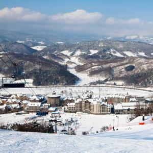 2박 동계패키지 홀리데이 인 리조트