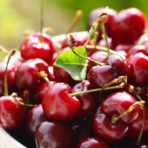 수입산 생 체리 500g (10-10.5R) 중과 외