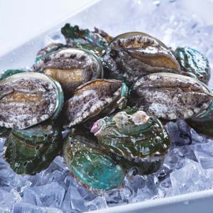 청정지역 완도 활 전복 1kg 17~20미 산지직송 선물 세트