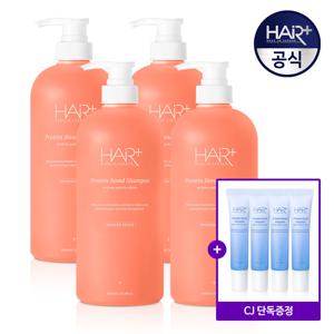 단백질본드 샴푸 모던피치 1000mlx4개 + 단백질 앰플 15ml 4개