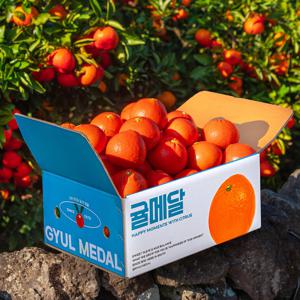 [재구매율 1위] 25년 첫 출시 홍매향 14brix 제주 신품종