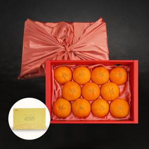 제주 산지직송 레드향 / 레드향 선물세트 옵션별