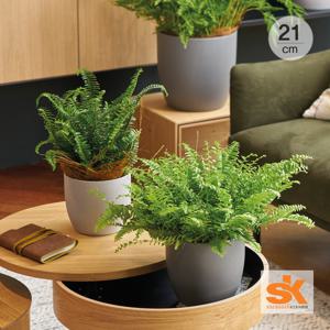 [S.K Since 1893] 독일 도자기 세라믹 인테리어 화분 바젤 스톤21cm