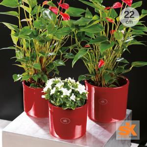 [S.K Since 1893] 독일 도자기 세라믹 인테리어 화분 마이애미22cm