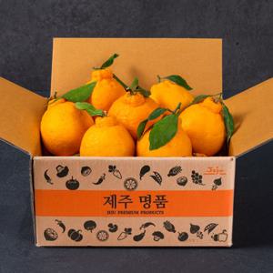 당도선별 제주 한라봉 가정용 / 선물용 4.5kg 외 선물세트 [소/중/대과]